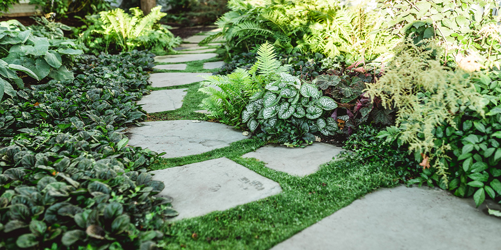 Custom walkway with plants along by Vidosh 